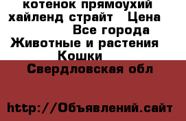 котенок прямоухий  хайленд страйт › Цена ­ 10 000 - Все города Животные и растения » Кошки   . Свердловская обл.